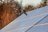 Solar Panel Kits